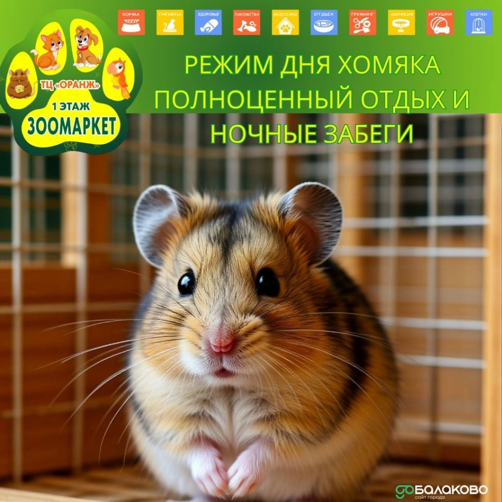 photo_2025-11-03_09-18-49.jpg photo_2025-11-03_09-18-49.jpg