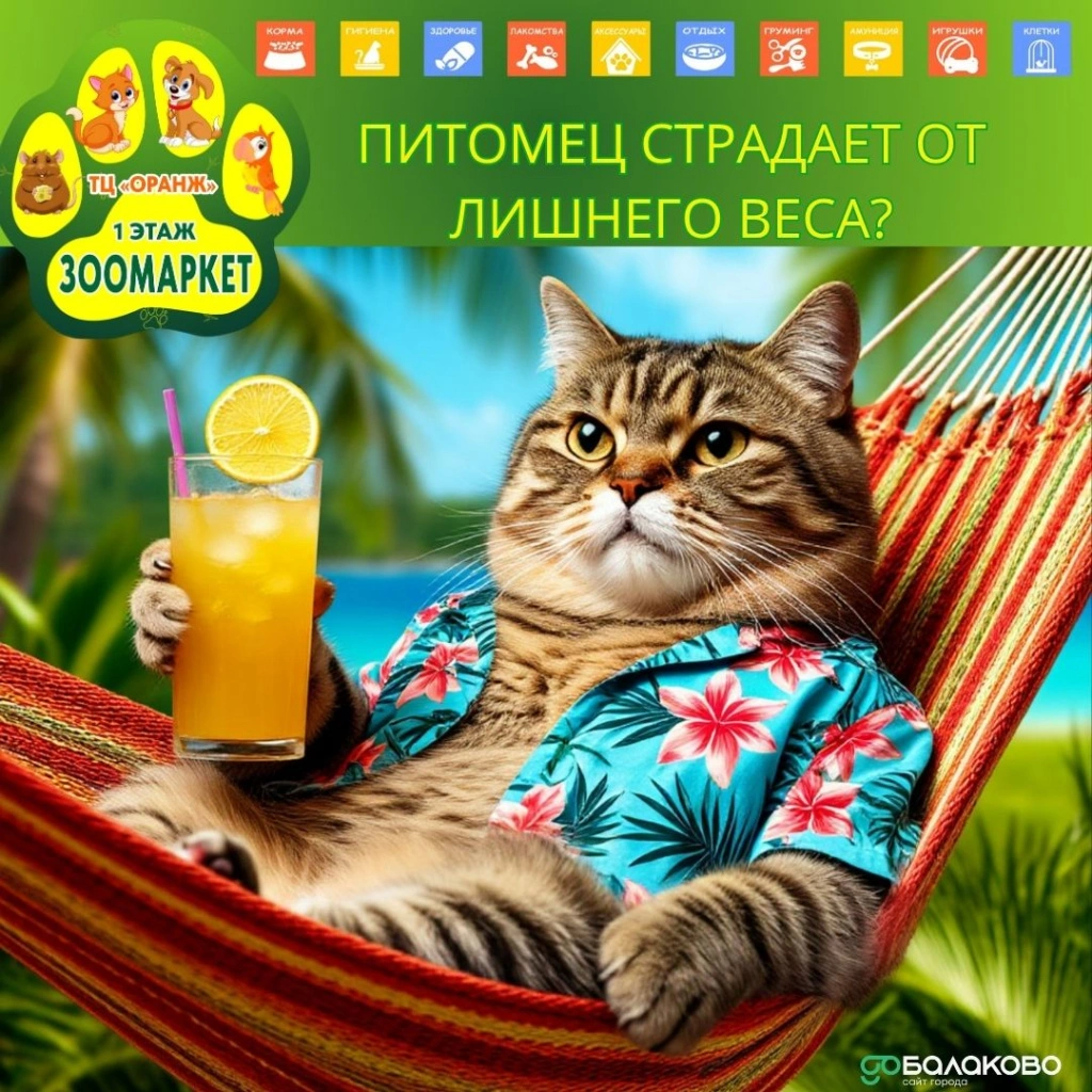 photo_2025-11-15_08-32-20.jpg photo_2025-11-15_08-32-20.jpg