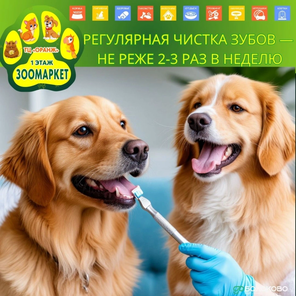 photo_2025-10-20_09-06-01.jpg photo_2025-10-20_09-06-01.jpg