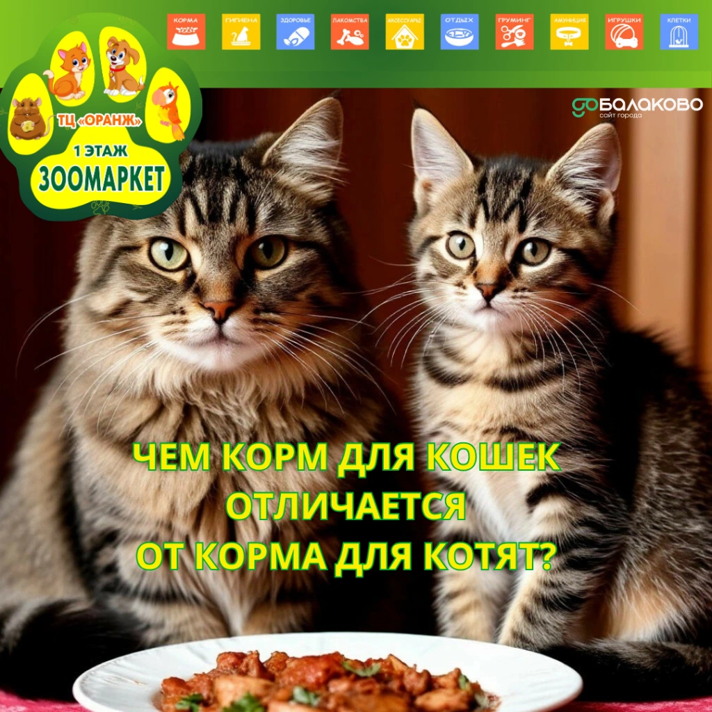 Чем корм для кошек отличается от корма для котят.png